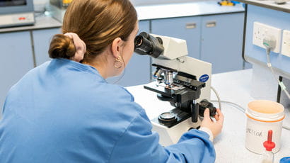 Researcher looking at tissue under microscope