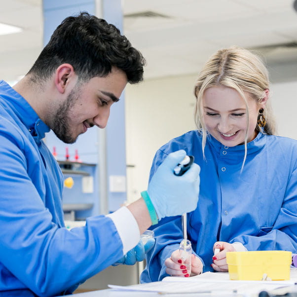 Postgraduate researchers in the lab