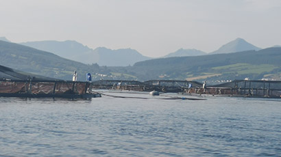 Fishing boats shown from a distance in a coastal harbour.