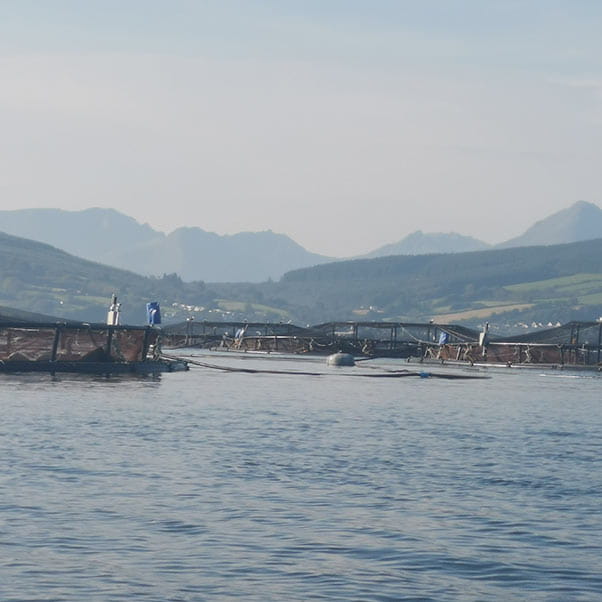 Fishing boats shown from a distance in a coastal harbour.