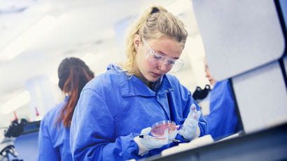 Biofilm model systems