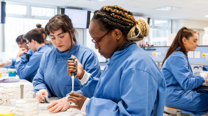 Researchers in the lab