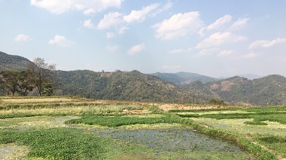 Fields in Laos