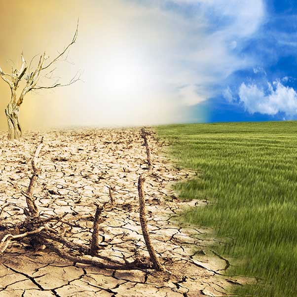 Sustainability and climate change resilience - Breaking research ...