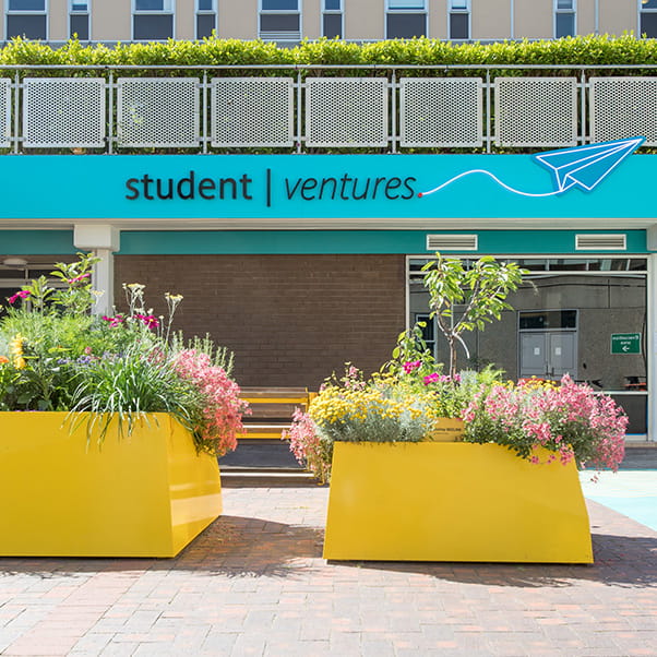 Exterior of building showing sign 'Student Ventures' and plants in bright yellow concrete planters in front.