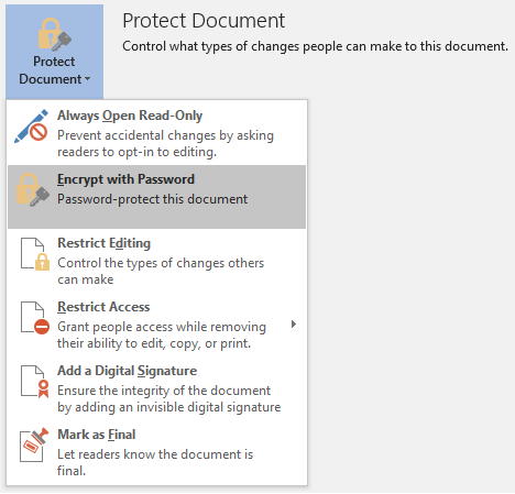 Screenshot of the 'Protect Document' options, with 'Encrypt with Password' highlighted.