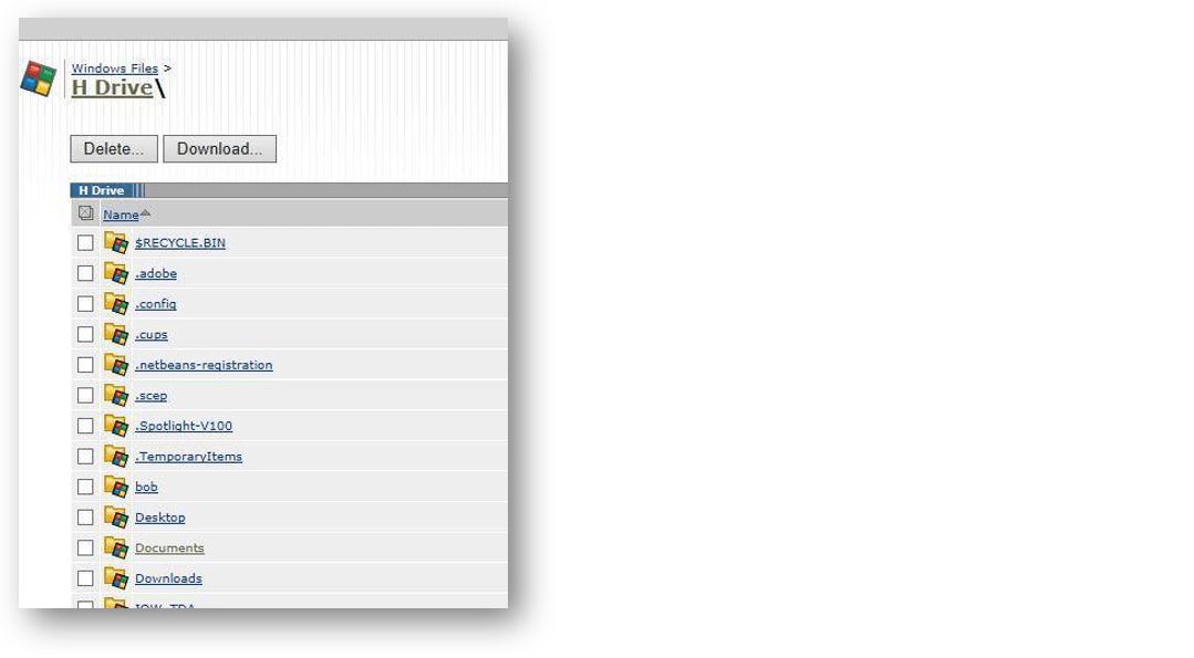 H drive example XA screenshot