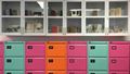 Special Collections filing cabinets and display cabinets in Bower Ashton Library.