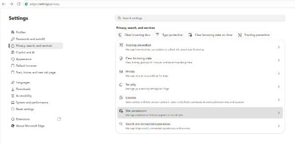 Select the 'Privacy, search, and services' tab, then select 'Site Permissions'