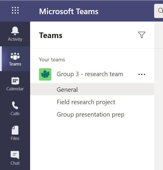 Example of a team in Microsoft Teams