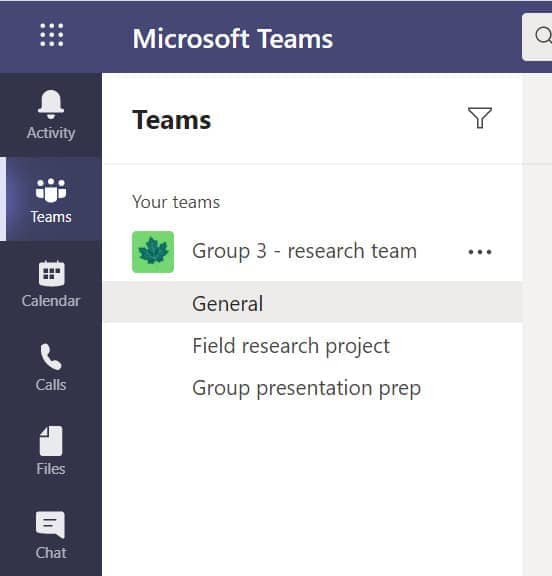 Example of a team in Microsoft Teams