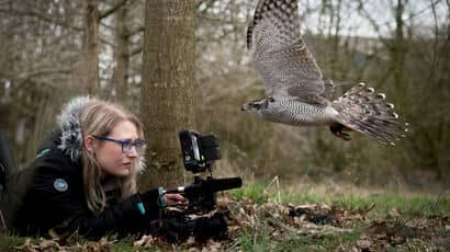 Wildlife Filmmaking postgraduate webinar