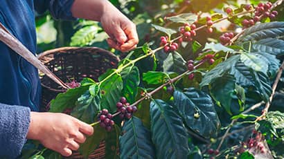 Film screening: Make the world a better place 