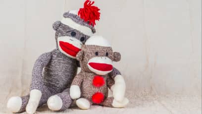 Make a Sock Monkey – Glenside