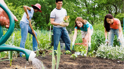 Greenspace conservation volunteering day