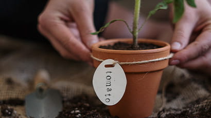 Frenchay Community Garden session
