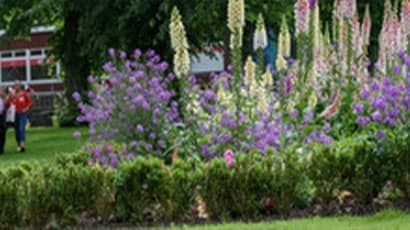 Greenspace Conservation Volunteering
