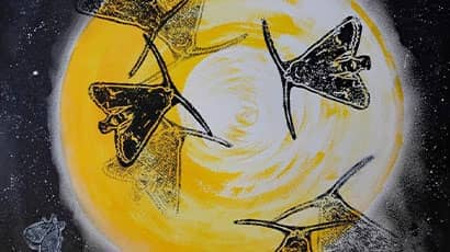 Making Connections: Arts and Health insights from Hospital Rooms and Dhaqan Collective