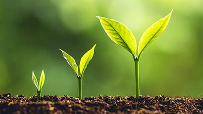 Introduction to the free Climate Education online course and film competition