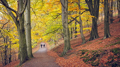 New guidance launched to help local authorities promote health through Local Plans