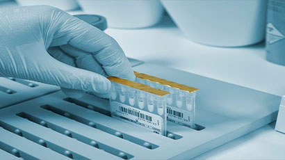 UWE Bristol postgraduate research receives boost as part of £170m funding for biosciences