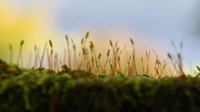 UWE Bristol student recognised in international photography competition