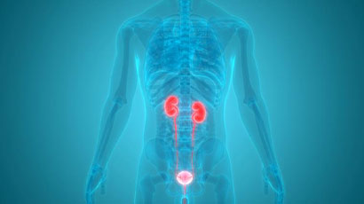 Urinary tract infection device could reduce need for precautionary antibiotics