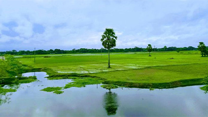 Research project aims to reduce toddler drowning deaths in Bangladesh