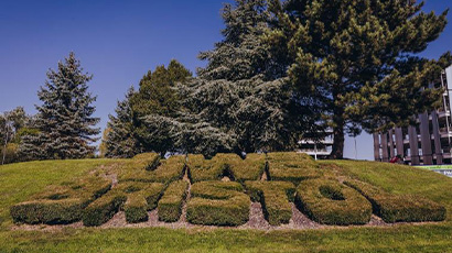 UWE Bristol turns internet searches into trees by using Ecosia