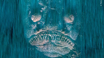 UWE Bristol supports Wildlife Photographer of the Year exhibition as it returns to Bristol