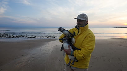 UWE Bristol wildlife filmmaker wins 2025 Student Academy Award
