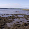 View of the Shannon estuary from Alison's garden